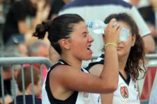 CURIOSANDO AL TOSARELLO