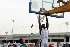 CURIOSANDO AL TOSARELLO