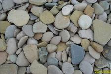 TOSARELLO, LA STORIA  A CANESTRO