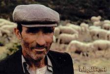 TOSARELLO, LA STORIA  A CANESTRO