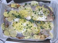 TOSARELLO, LA STORIA  A CANESTRO