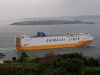 TOSARELLO, LA STORIA  A CANESTRO