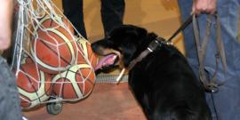 TEMPO DI SUPPLEMENTARI