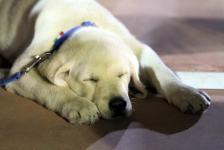 PRIMA GALLERIA DI ASSAGGIO, NE SEGUIRANNO ALTRE